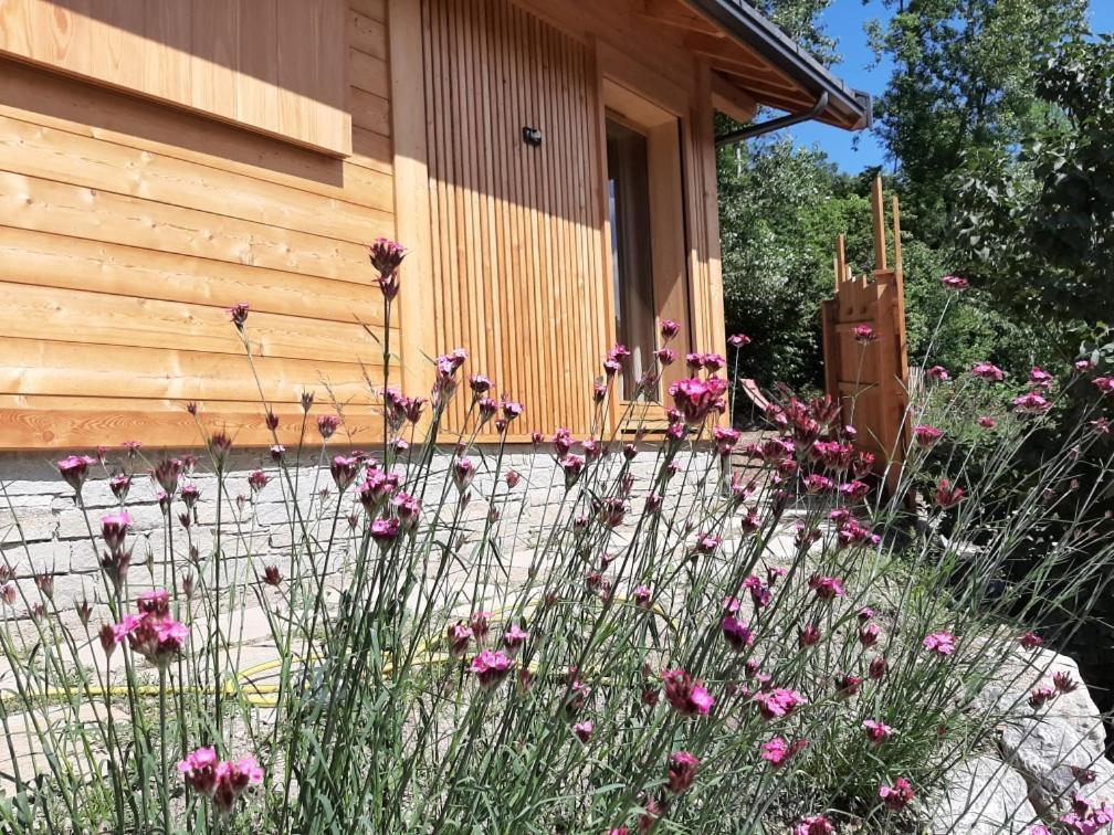 Petit Chalet Neuf Independant 2 Pers "La Cabane De Jean " ブリアンソン エクステリア 写真